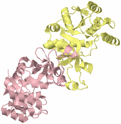 Image Biological Unit 2