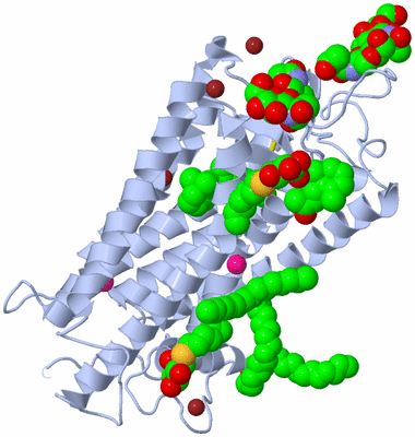 Image Biological Unit 1