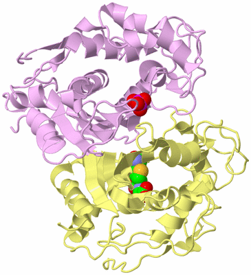 Image Biological Unit 3