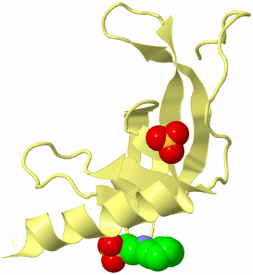 Image Biological Unit 4