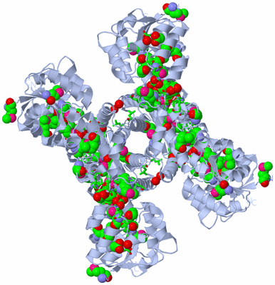 Image Biol. Unit 1 - sites