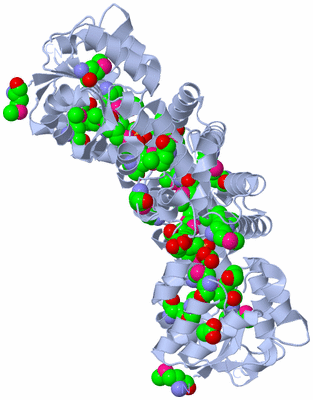 Image Biological Unit 2