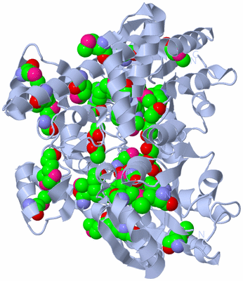 Image Biological Unit 3