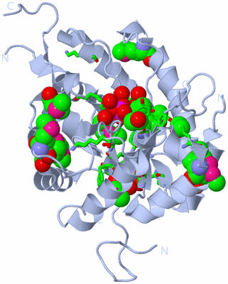 Image Biol. Unit 1 - sites