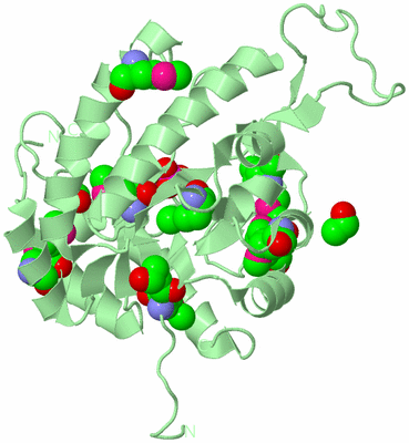 Image Biological Unit 2