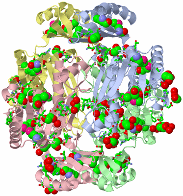 Image Biol. Unit 1 - sites