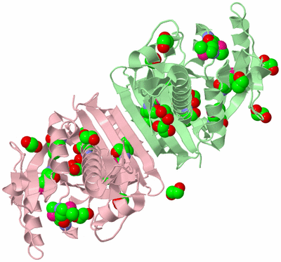 Image Biological Unit 3