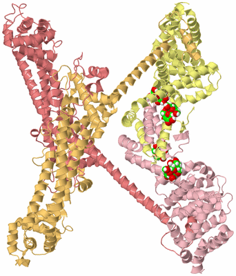 Image Biological Unit 2