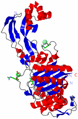 Image Asym./Biol. Unit - sites