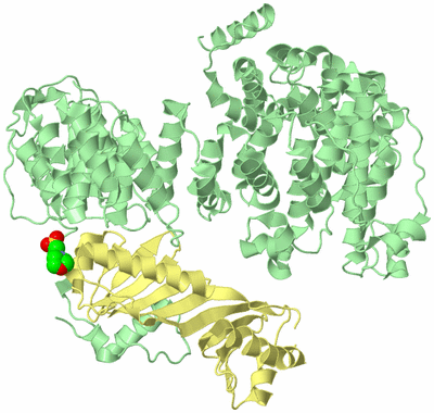 Image Biological Unit 2