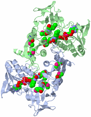 Image Asym./Biol. Unit