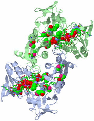 Image Asym./Biol. Unit - sites