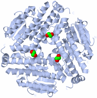 Image Biological Unit 1