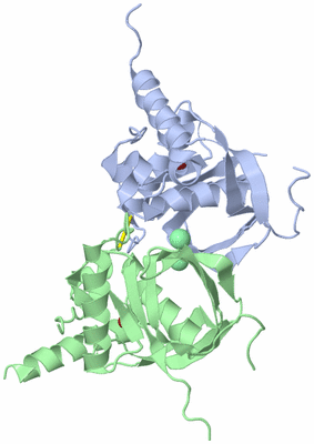 Image Asym./Biol. Unit