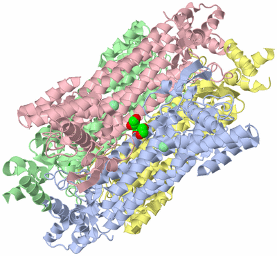 Image Asym./Biol. Unit