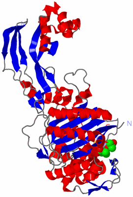 Image Asym./Biol. Unit