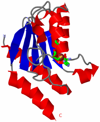 Image Asym. Unit - sites