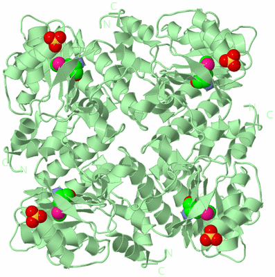 Image Biological Unit 2