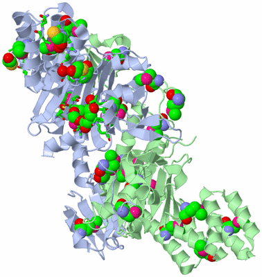 Image Asym./Biol. Unit - sites