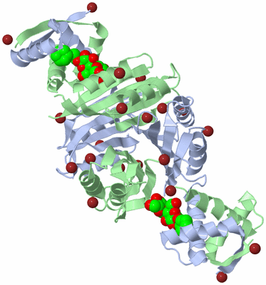 Image Biological Unit 1