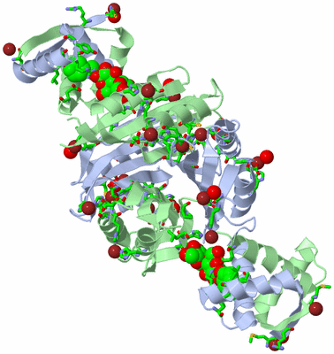 Image Biol. Unit 1 - sites