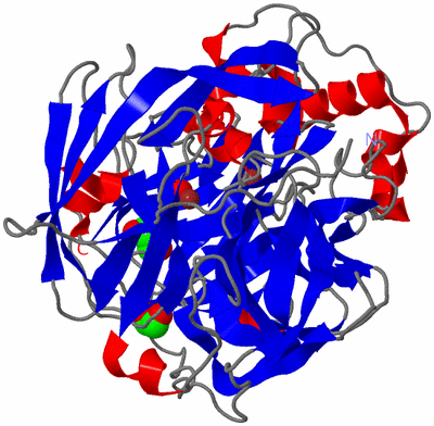 Image Asym./Biol. Unit