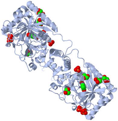 Image Biological Unit 1