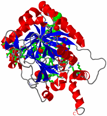 Image Asym. Unit - sites