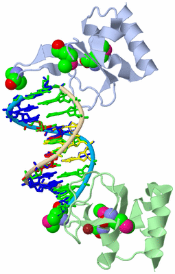 Image Biological Unit 1