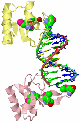 Image Biological Unit 2