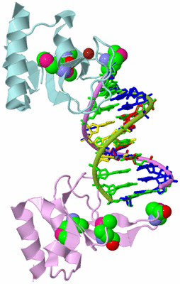 Image Biological Unit 3