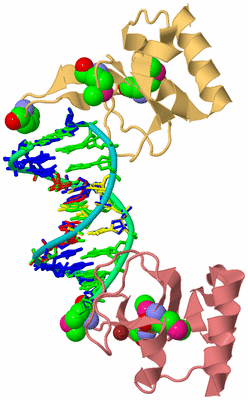 Image Biological Unit 4