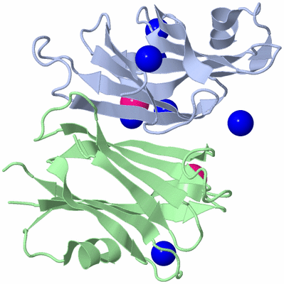 Image Biological Unit 1