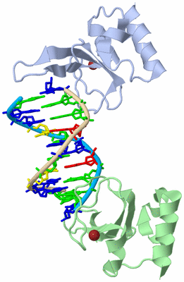 Image Biological Unit 1