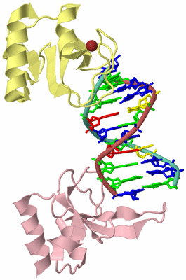 Image Biological Unit 2