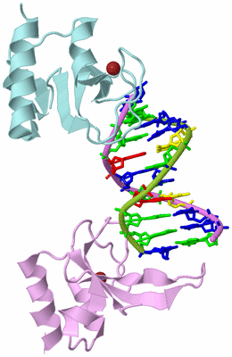 Image Biological Unit 3