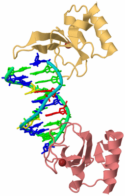 Image Biological Unit 4