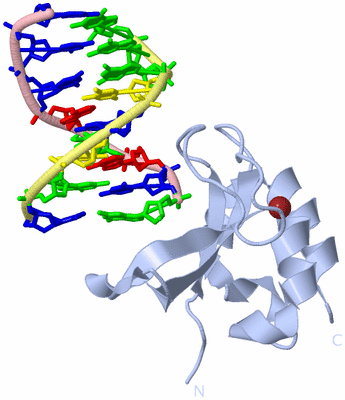 Image Biological Unit 1