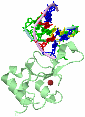 Image Biological Unit 2