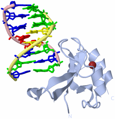 Image Biological Unit 1