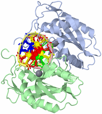 Image Biological Unit 1