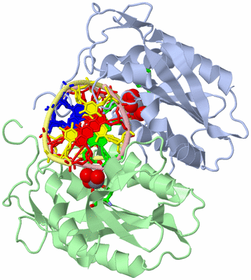 Image Biol. Unit 1 - sites