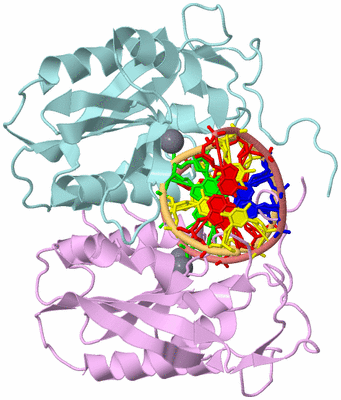 Image Biological Unit 2