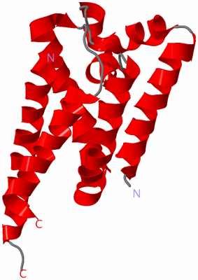Image Asymmetric Unit