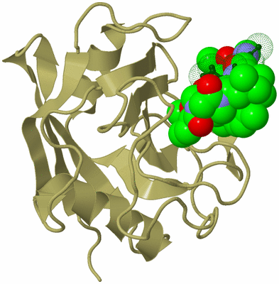 Image Biological Unit 10