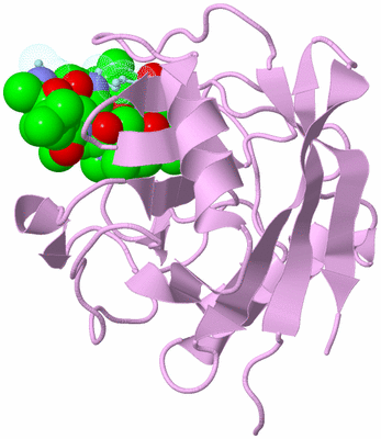 Image Biological Unit 3