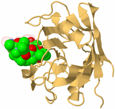 Image Biological Unit 4