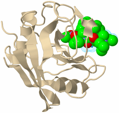 Image Biological Unit 5