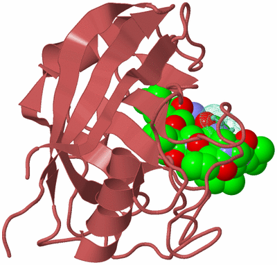 Image Biological Unit 6