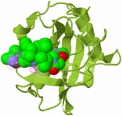 Image Biological Unit 7